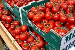 MV-tomatoes