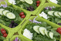 Fresh Salads